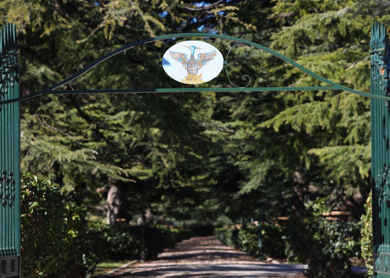Villa Fenicia روفو دي بوليا المظهر الخارجي الصورة